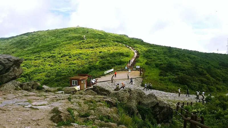 [전남 구례] 섬진강변 청정산골 황토구들방 반려동물가능 42