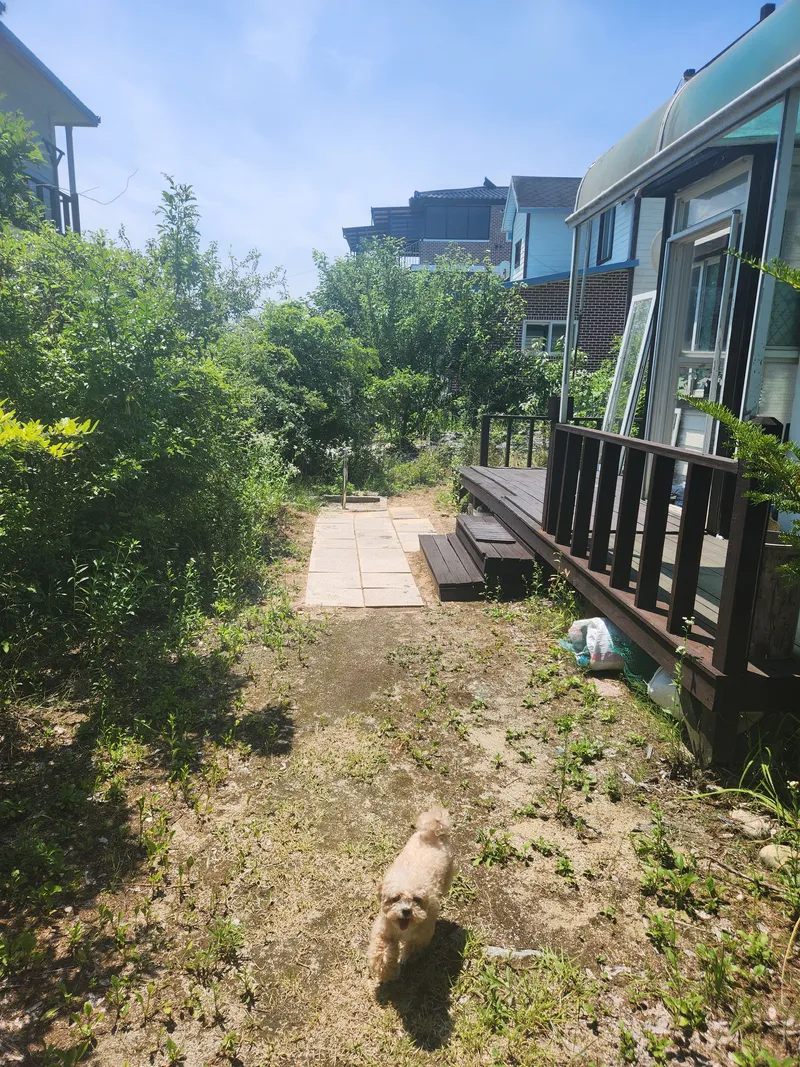 [Yeoju] Namhangang River Cute 2-story country house with a dog in the yard 14