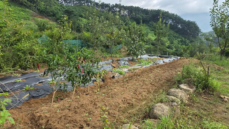 [전남 구례] 산동 수목원과 휴양림사이 숲속의 작은집 독채 마운틴 호수뷰 38