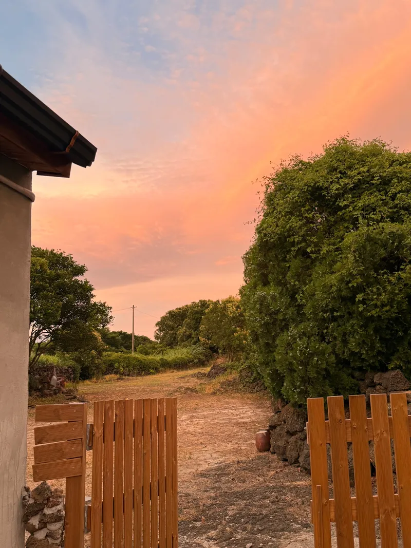 [Daejeong, Seogwipo] #Yard #PetFriendly Quiet detached house surrounded by stone walls 20