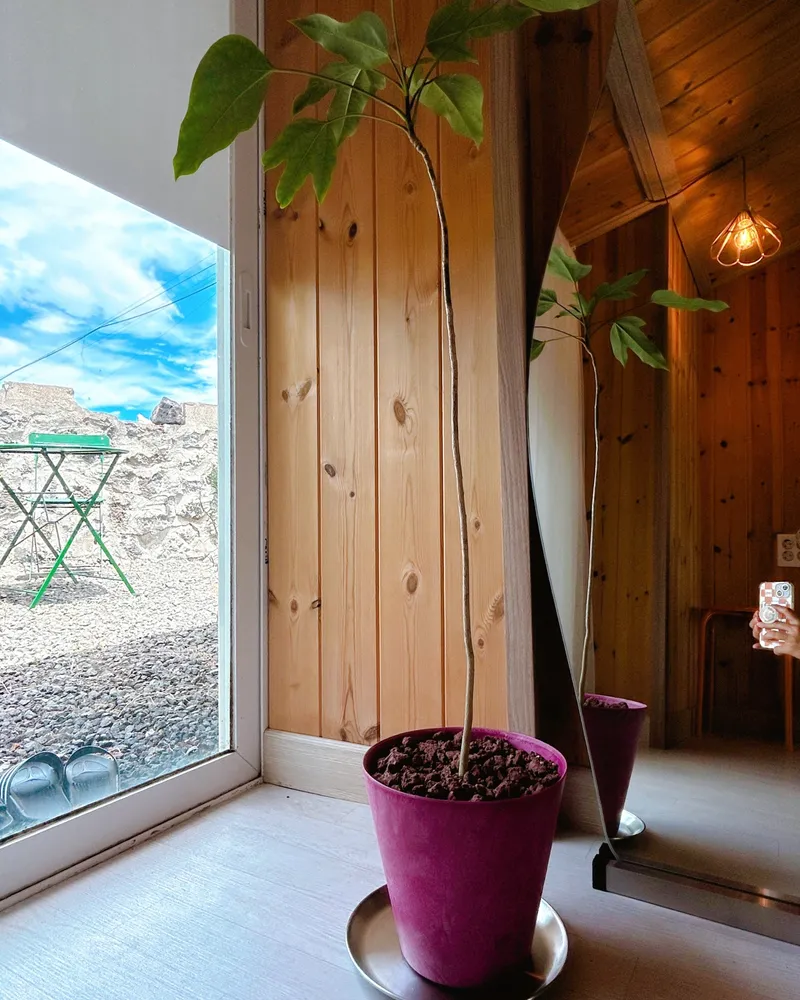 [Gujwa, Jeju] Detached house in front of the sea 13