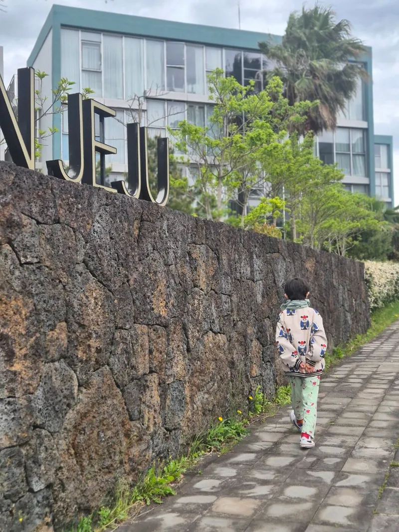 [Topyeong-dong, Seogwipo] (7 days or more) STAY Forest of Silence #1st floor terrace #Forest #Cedar stone wall forest [Seogwipo] 66