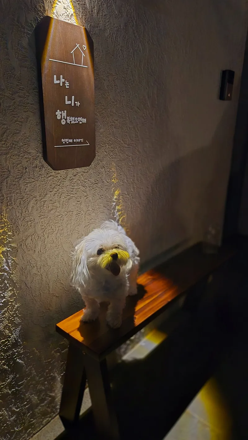 [Namwon, Seogwipo] Jeju Private Pension with Pets 25