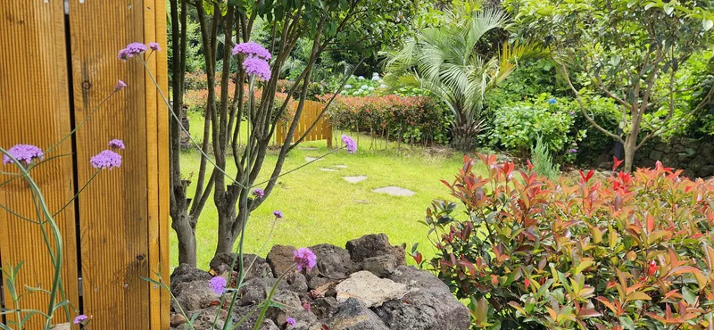 [Hangyeong, Jeju] Cozy stone wall two-room detached house with tangerine field view 16