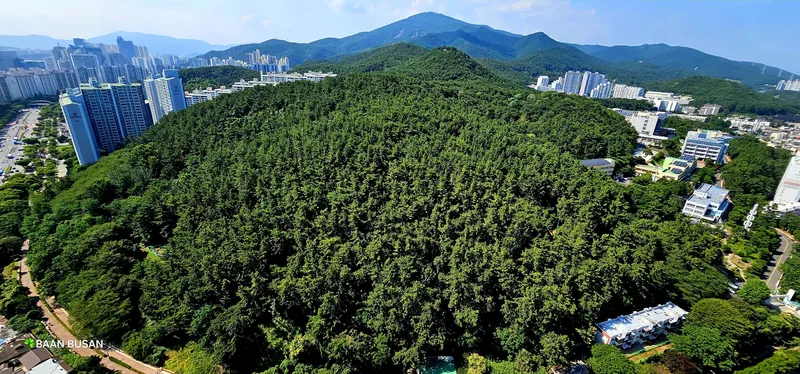 [부산 해운대] 해운대해수욕장 도보 2분/고층 7