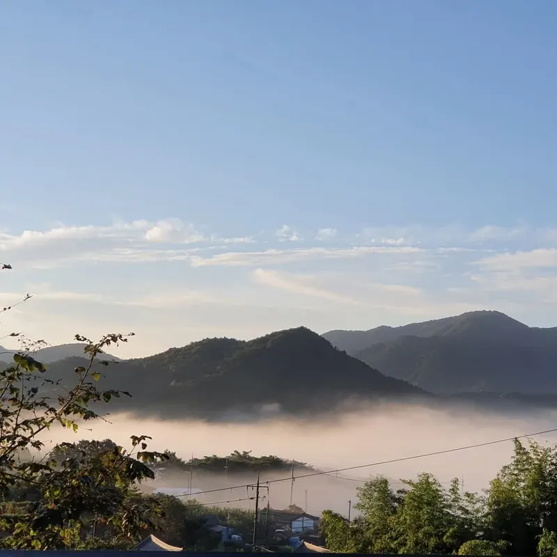 [전남 담양] 산중턱에 위치한 마윤틴뷰 정원이 아름다운집 20