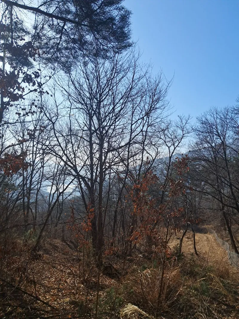[경북 예천] 송월호 인근 한옥 독채 31