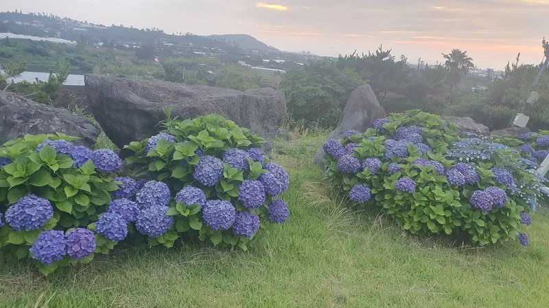 [제주 애월] 애월바다와 한라산이 보이는오션뷰 1층 독채 29