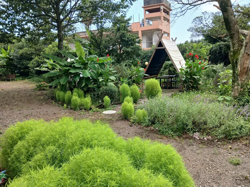 [Pyoseon, Seogwipo] Forest Garden View One-Room #203 27
