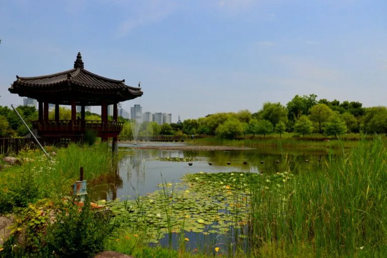 [대전 서구] 전망좋은 갈마하우스 호텔옵션 투룸 3층 엘베있음 40