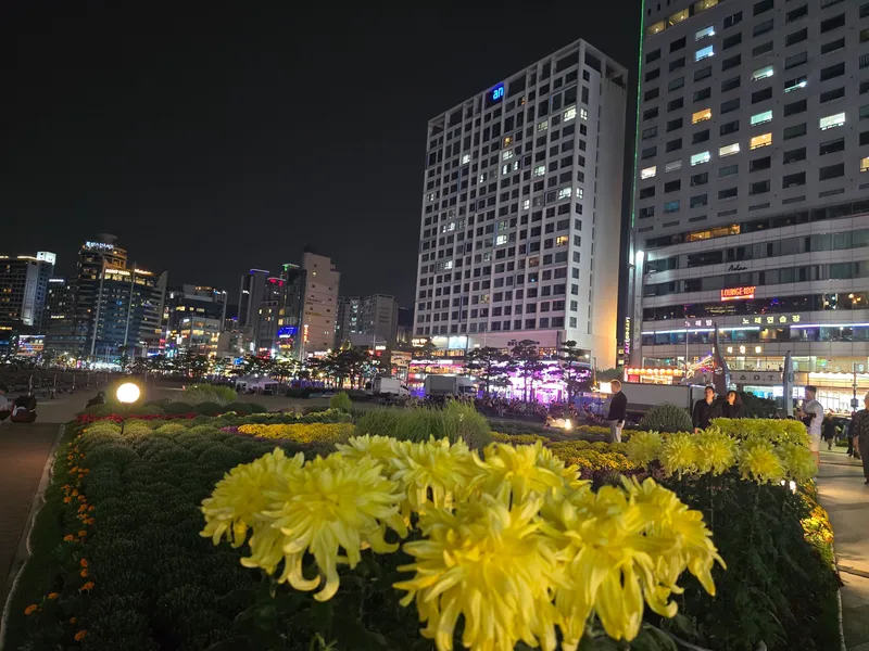 [Suyeong, Busan] Permanent view of Gwangalli Beach 7