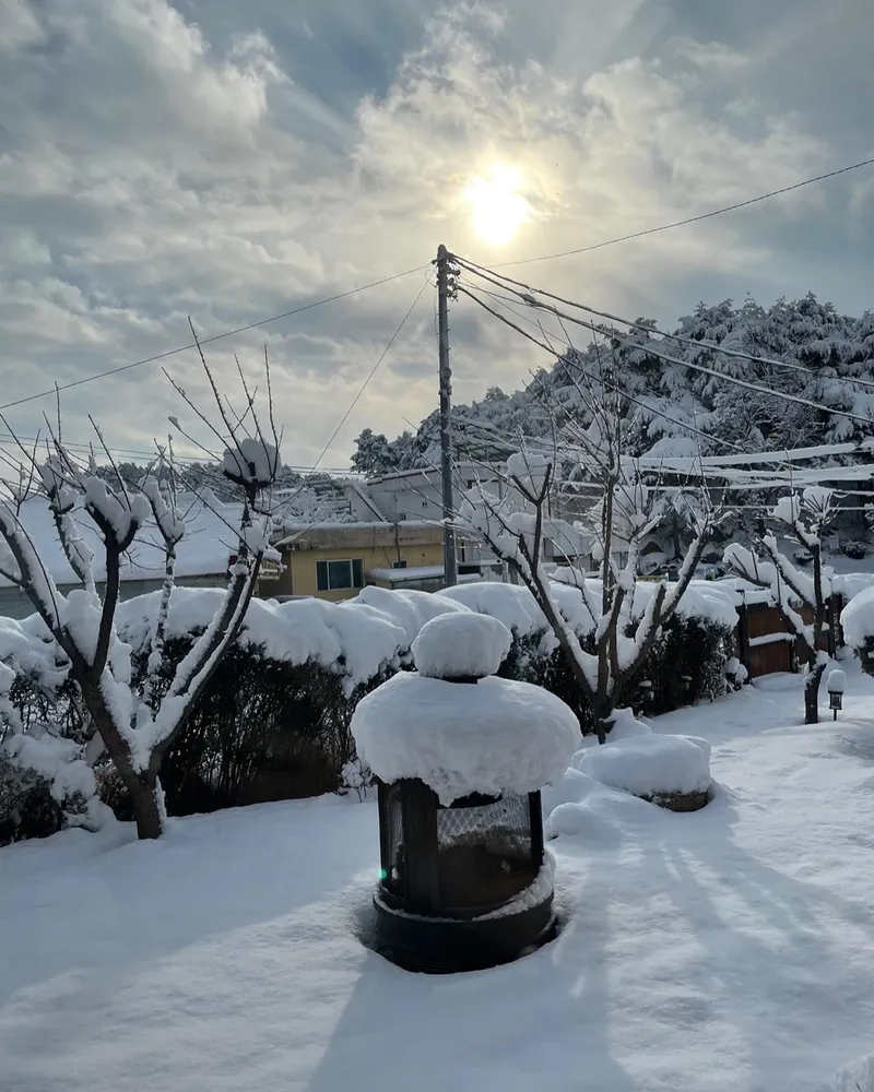 [Gangneung] 3-room Hanok detached house with a 100-pyeong wide yard 42