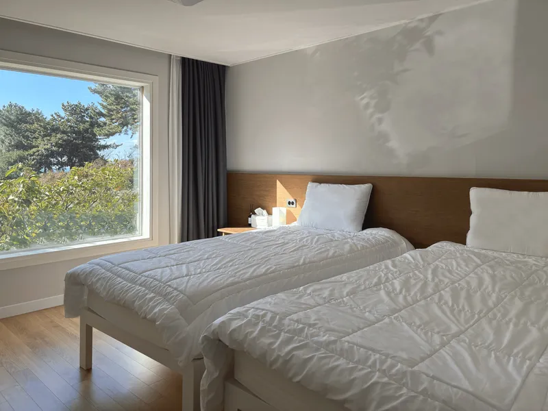 [Daepo-dong, Seogwipo][Seogwipo Jungmun] Modern and clean white full-option villa with palm tree sensibility #Family Jeju life 2