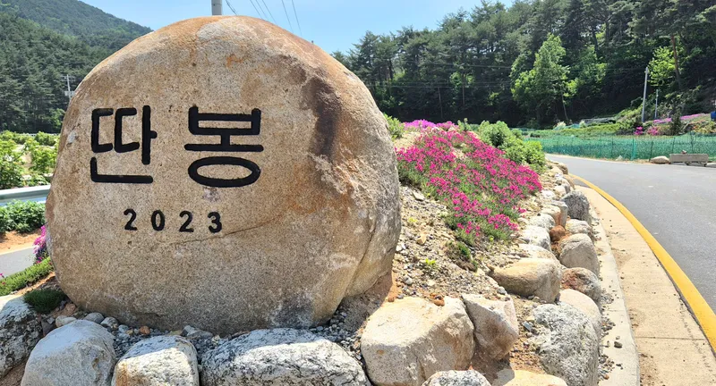 [강원 양양] 하조대 IC 5분. 40평형독채 .마당넓은밤하늘별빛애견동반 54