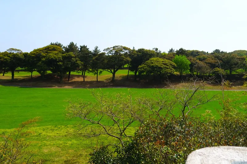 [제주 한림] 리조트12동 #단독건물# 반려동물가능#수영장#식당운영 23