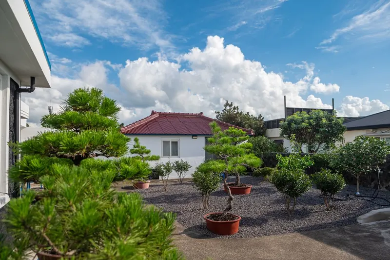 [Gujwa, Jeju] A relaxing stone-walled shade house 2 #3-minute walk from the beach in Handong-ri 13