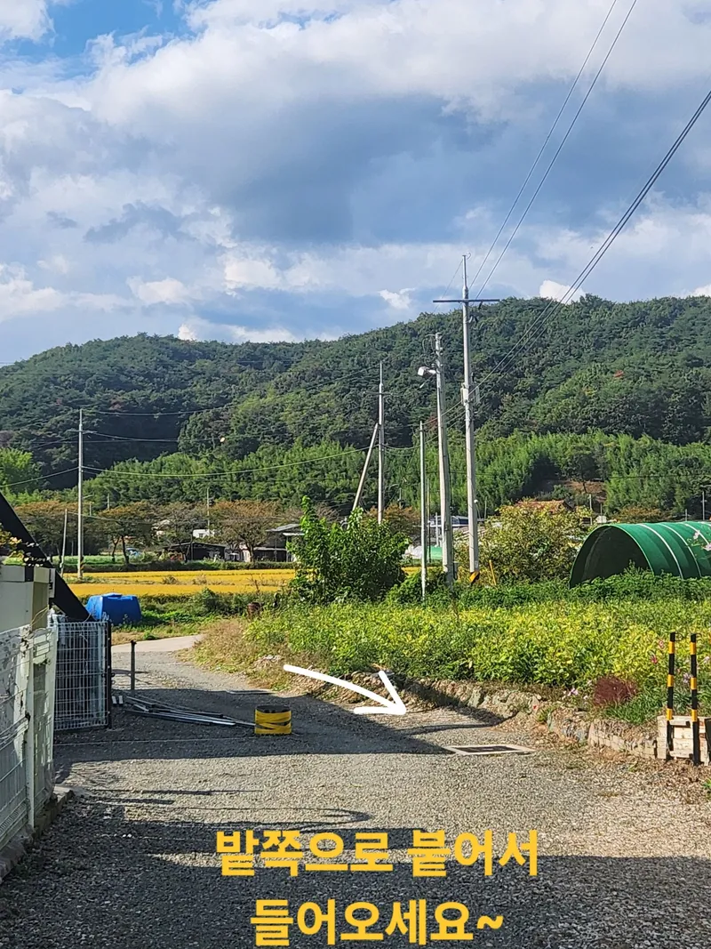 [경북 영천] 숲세권 단독 전원주택  #반려동물 28