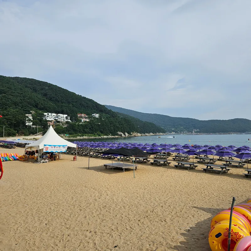[Geoje] Awesome villa with a beautiful ocean view 17