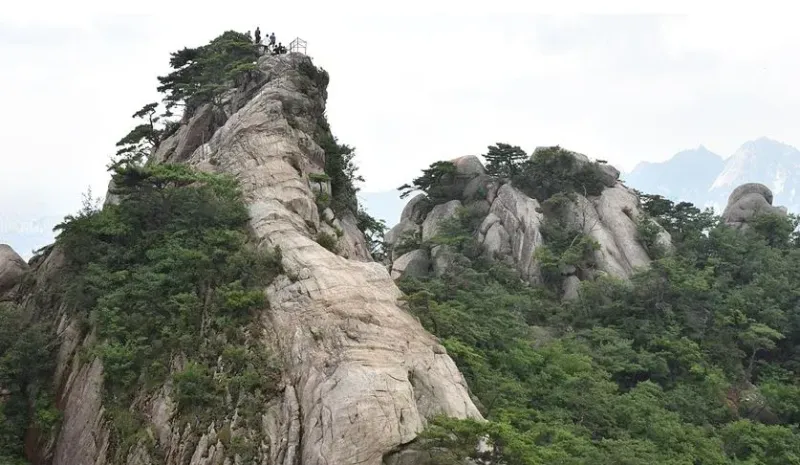 [서울 도봉] 도봉산 아래, 힐링으로 충만한 숙소 (2층침대) 20