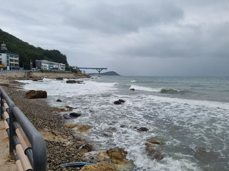 [부산 해운대] 달맞이 해돋이 명소 도보5분#놀이방#애견동반 가능 26