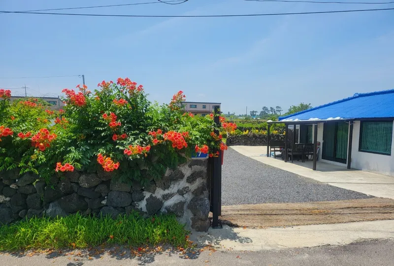 [Gujwa, Jeju] Woljeong Olle-gil Farmhouse #Wide Yard #Camping #5 Minutes to the Beach #Stone Wall #Parking Lot 14