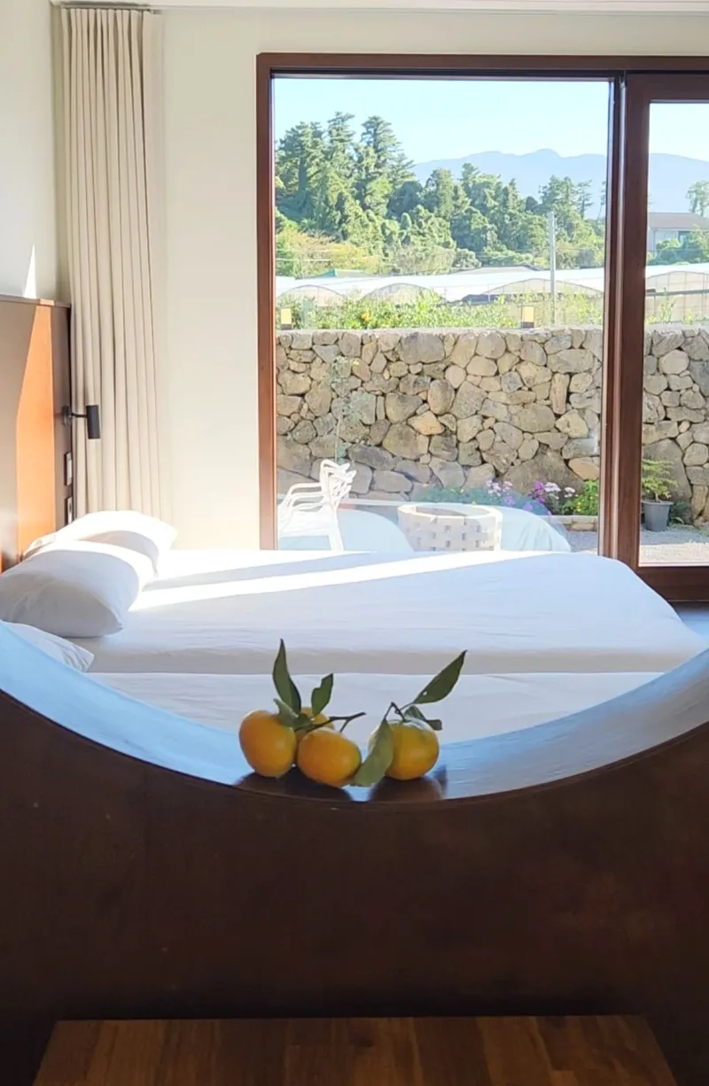 [Ara 1-dong, Jeju] Newly built, 1,000-pyeong (approximately 1,000 square meters) citrus orchard with a Jacuzzi #Near the airport 3