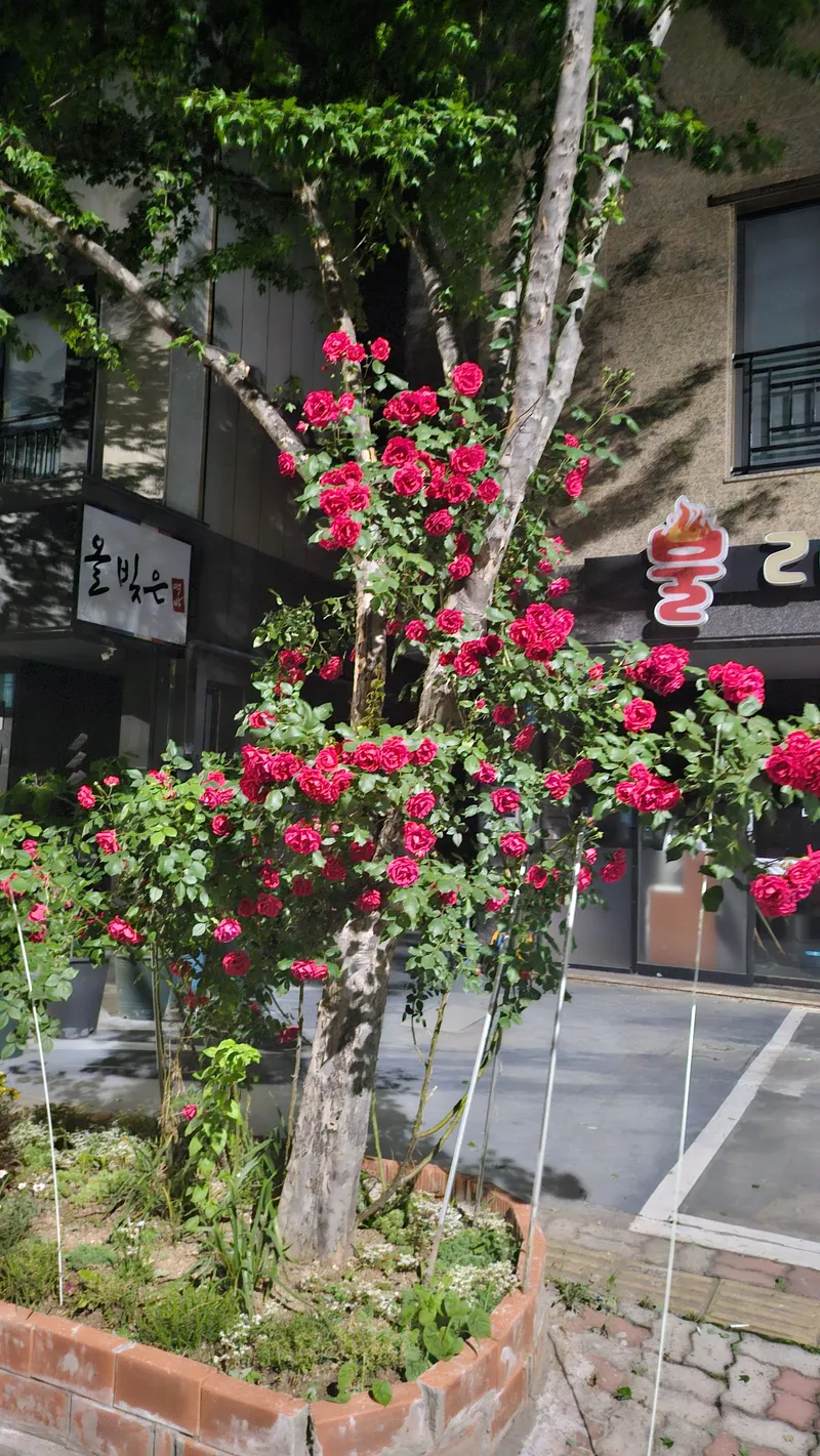 [Yangsan] Mulgeum Cozy House A2 17