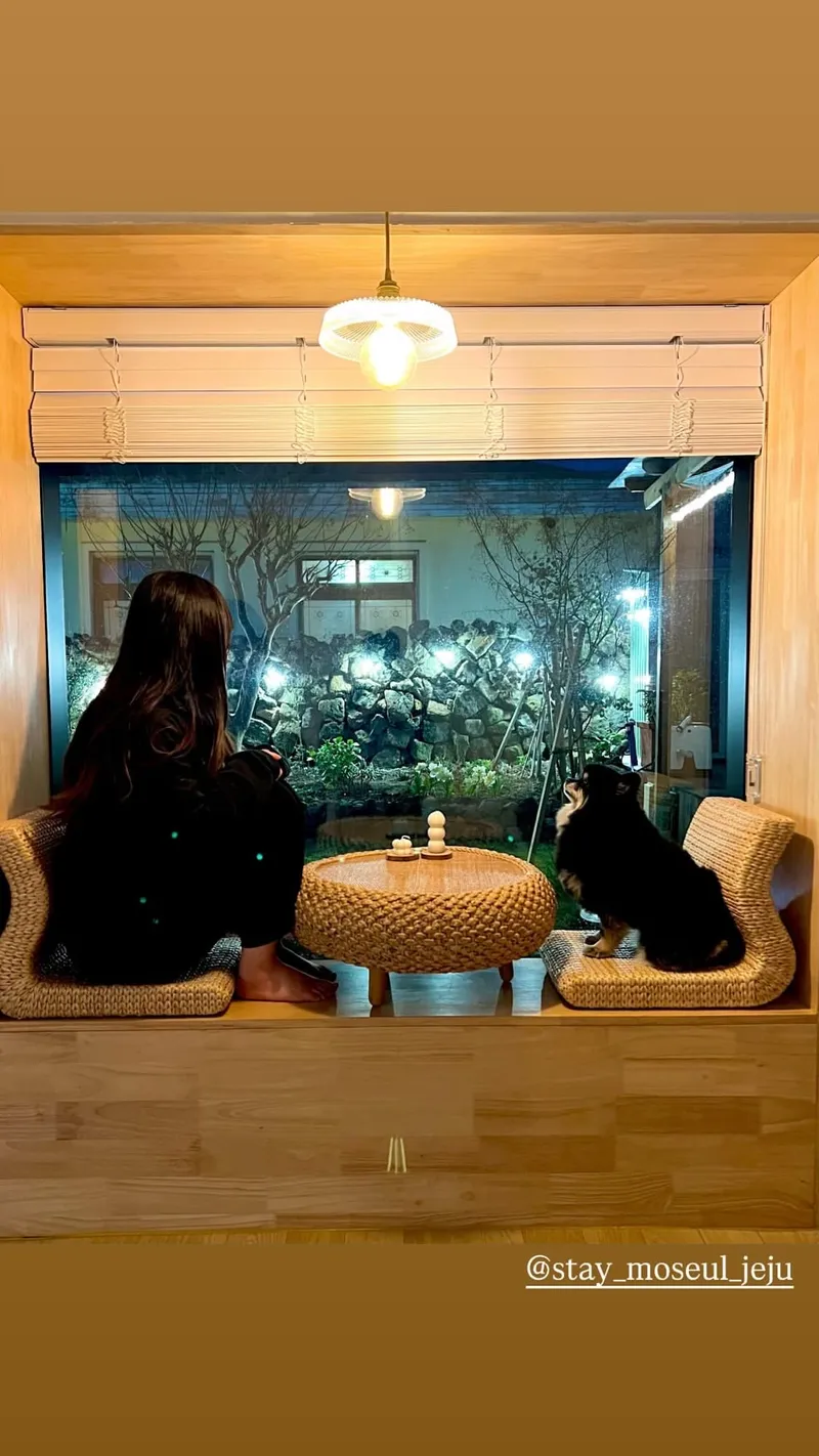 [서귀포 대정] 정원이 아름다운 프라이빗 독채 #애견동반#돌집#마당 13