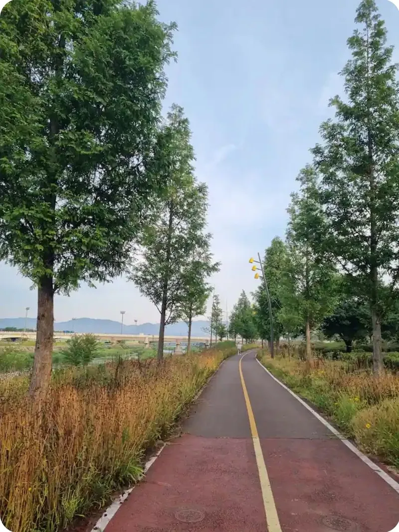 [Gyeongju] Changview 2 / Hwangridan-gil 8 min 31