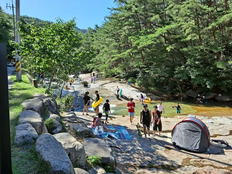 [전남 곡성] 섬진강 기차마을 대나무숲 마당넓은 애견동반 오직 한팀 펜션 152