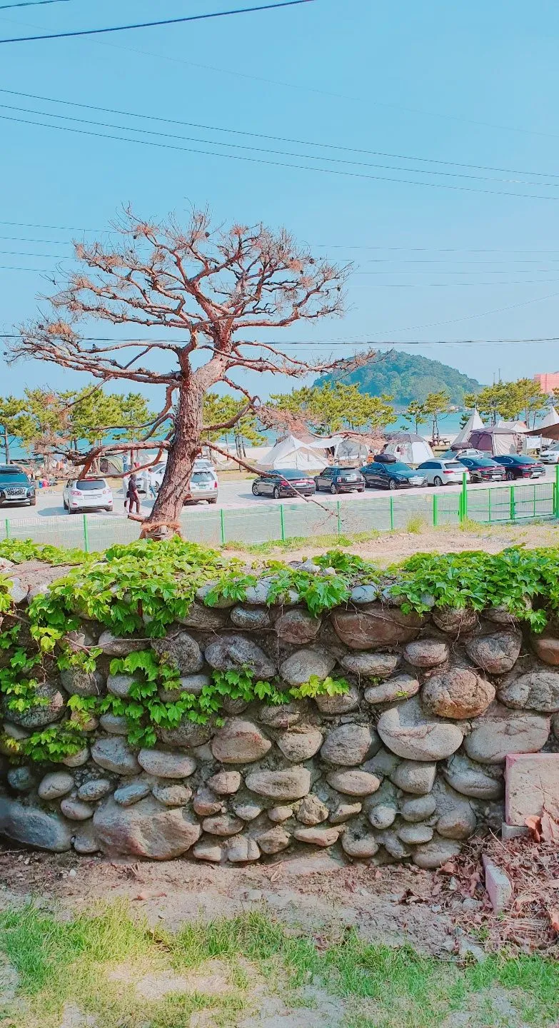 [강원 양양] 애견가능,해변바로앞,온돌원룸 (1층101호) 18