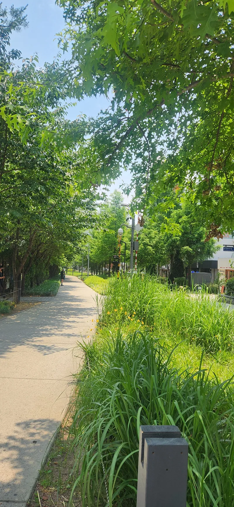 [서울 마포] 서강대 앞 깨끗하고 저렴한 방 4층 16