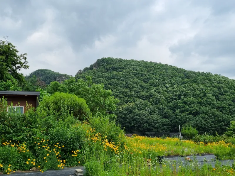[경기 남양주] 북한강과 산과 마을이 한눈에 조망되는 언덕 위 소형 독채 11
