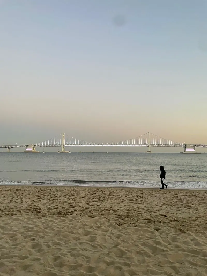 [부산 수영] 풀오션뷰 햇살 좋은 광안리해변 1초컷 고층 테라스 투룸 24