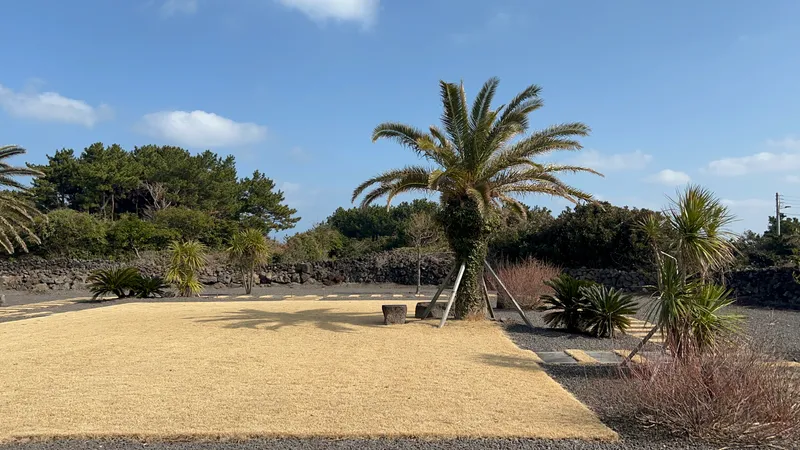 [Gujwa, Jeju][Seogwipo Seongsan] Ocean view emotional accommodation 30 seconds from the sea in front of the house (Room 101) 10