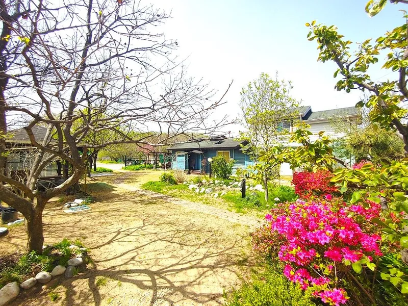 [Yangyang] Naksan Beach Sunrise #Seoraksan Mountain Sunset #Namdaecheon Riverside Trail & Water Sports 19