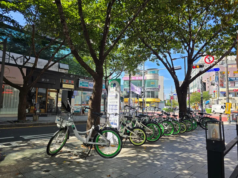 [Seongbuk, Seoul] A fully furnished, detached studio apartment in front of the main gate of Sungshin Women's University, with ample sunlight and a cozy atmosphere. 16