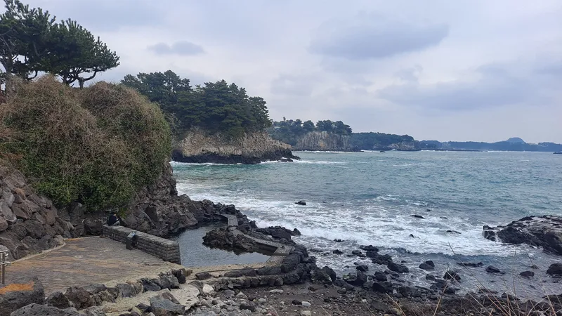 [서귀포 서귀동][서귀포 바다]막힘없는 오션뷰#생활편의#투룸#가성비#반려견#가족#노을뷰 40