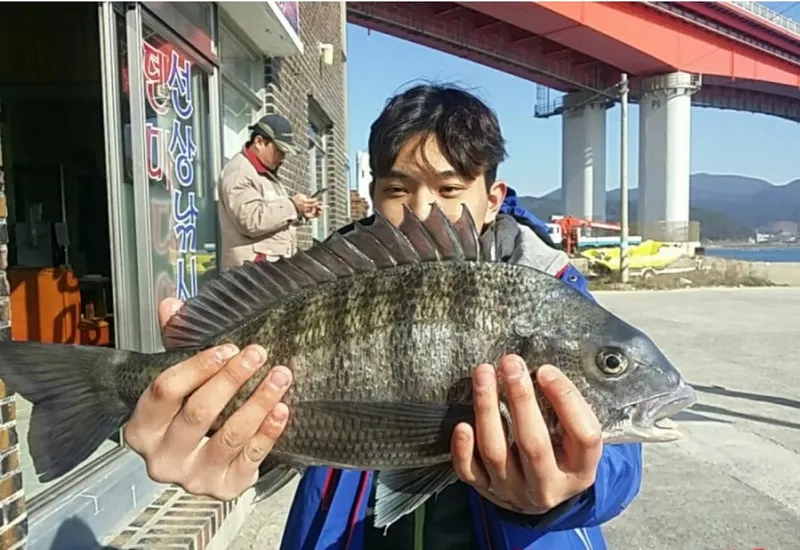 [Tongyeong] Alice House Fishing Paradise: A Clean and Cozy House 23