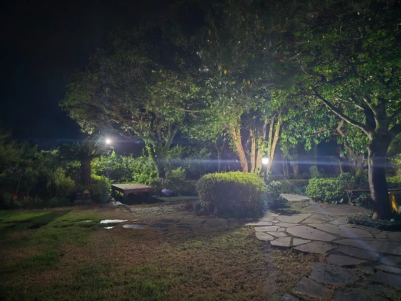 [서귀포 남원] #드넓은 잔디밭 #힐링 비둘기 45