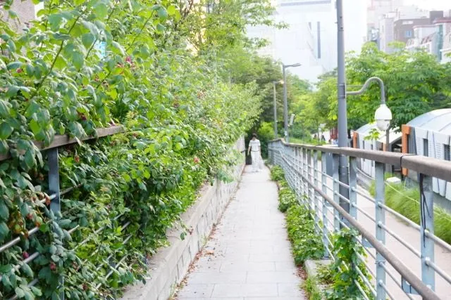 [서울 마포] 홍대입구역 역세권 1인 원룸 숙소 와1 21