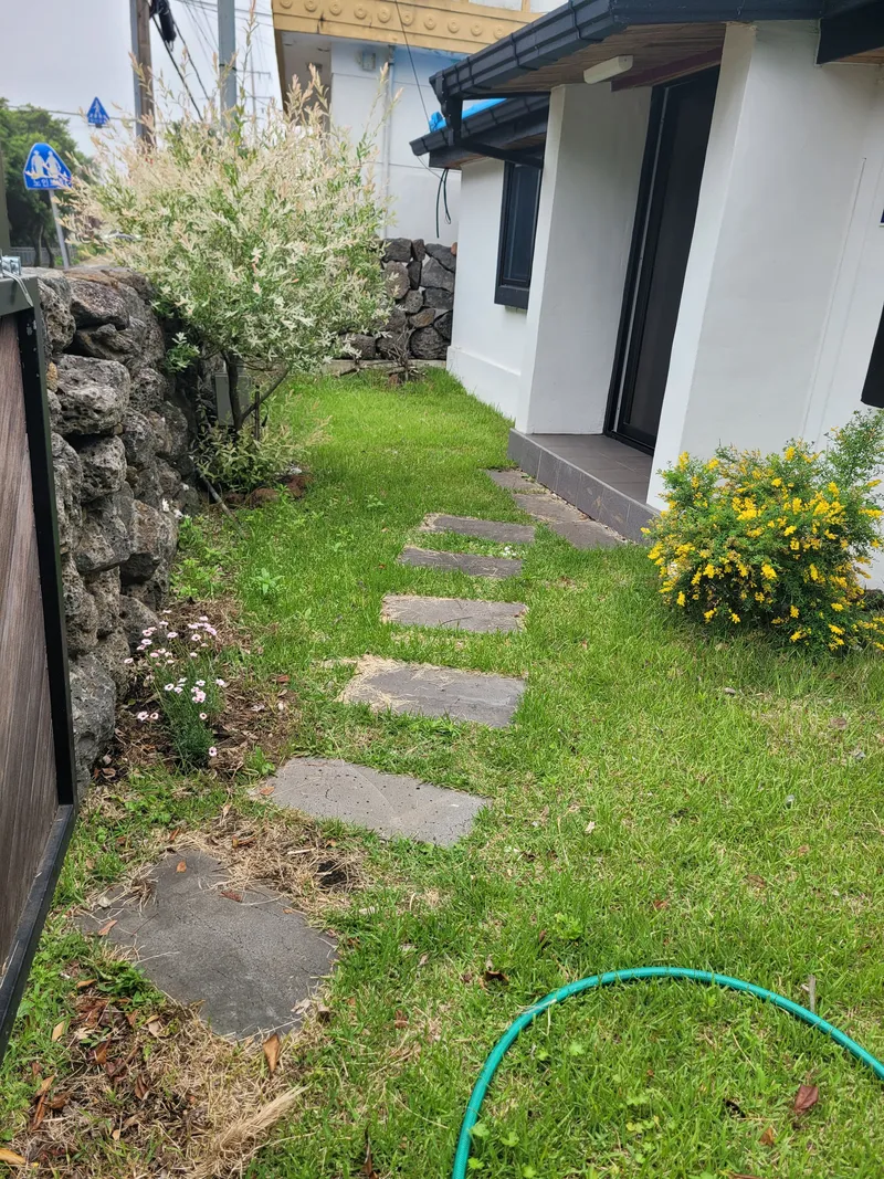[Namwon, Seogwipo] Taeheung Jeju Original Gojae, detached house, front and back yards, dogs and cats allowed 17
