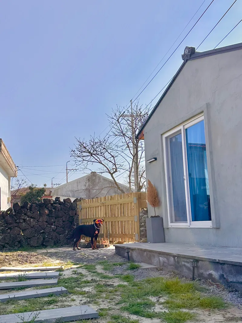 [Daejeong, Seogwipo] #Yard #PetFriendly Quiet detached house surrounded by stone walls 18
