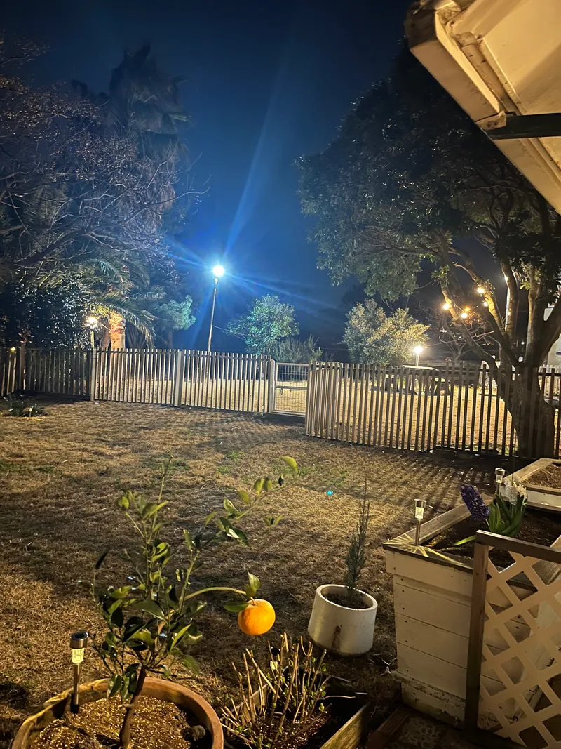 [Hallim, Jeju] 5-minute walk to Hyeopjae Beach, private house, dog-friendly, lawn yard, 30