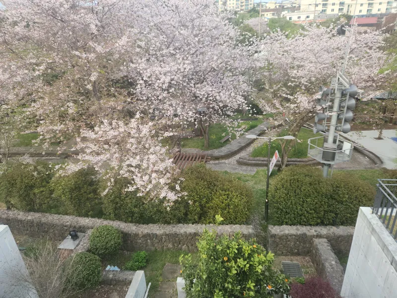 [Seohong-dong, Seogwipo] Healing House in the Park 33
