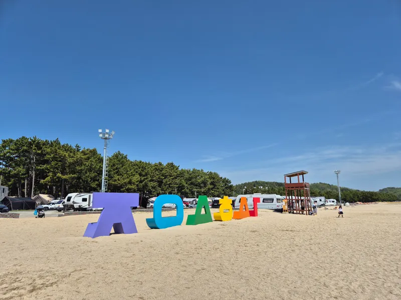 [경북 울진] 울진구산해수욕장 앞  소나무캠핑장(카라반가능캠핑장)동해 29
