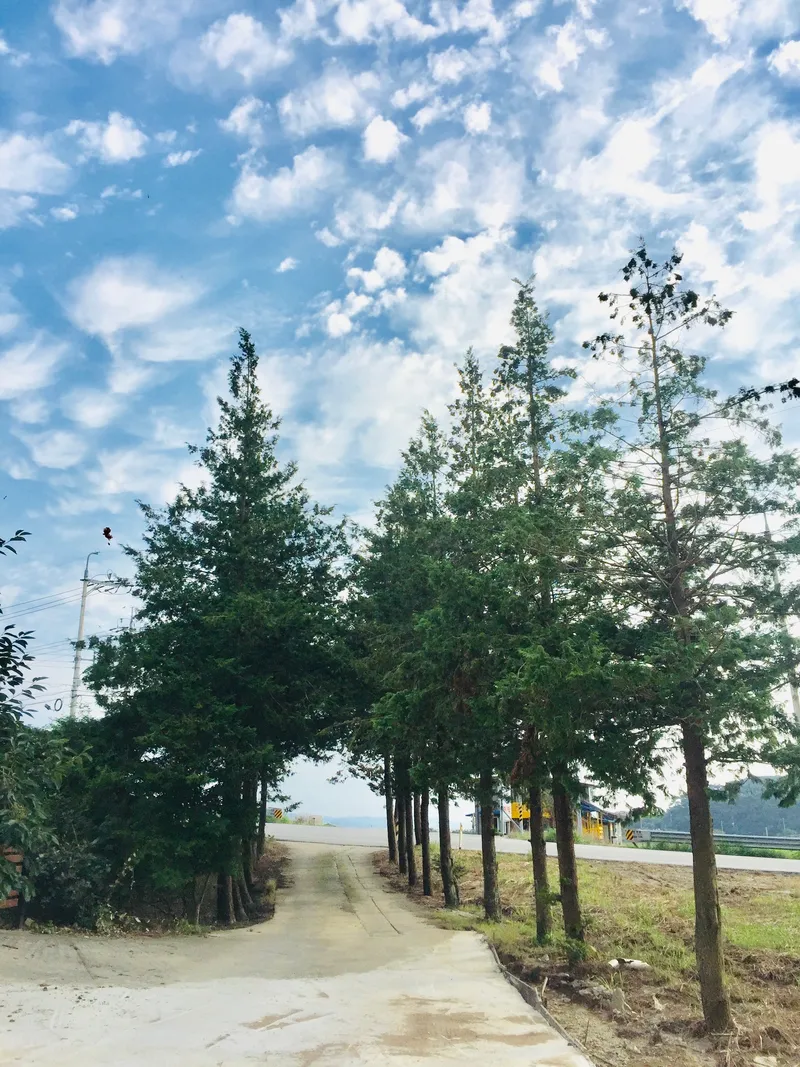 [Buan] Byeonsan Peninsula 17-pyeong Ocean View Residence A102 (Ondol)/Special Discount 8