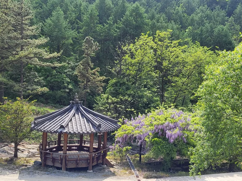 [Eumseong][Chungcheongbuk-do Eumseong] One-room terrace right next to the valley 18