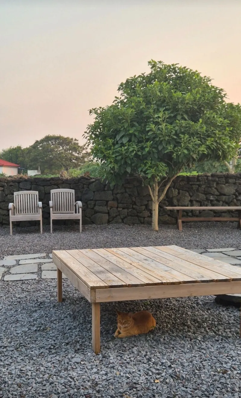 [Hangyeong, Jeju] A two-story detached house located in a village with a pretty stone wall, a 10-minute walk from the beach. 19