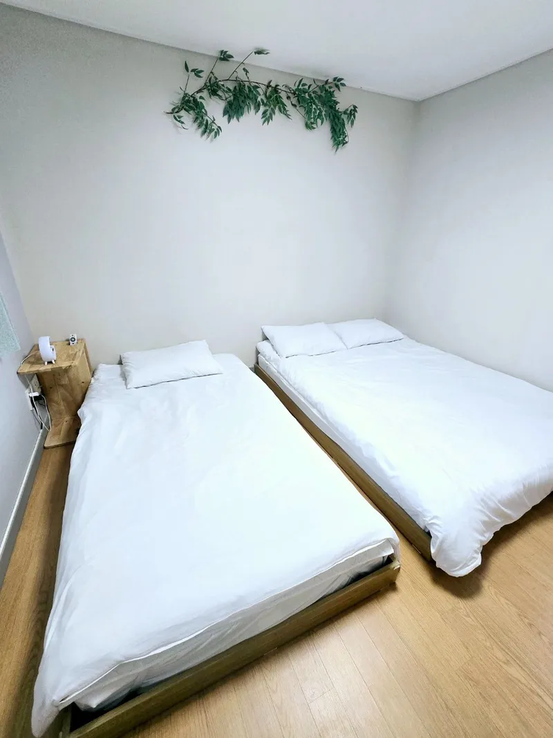[Sanghyo-dong, Seogwipo] (NEW OPEN!!) Solaire The Terrace Village 6
